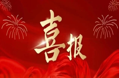 捷报！周口交通技师学院31名学子省赛揽大奖，一等奖4项！