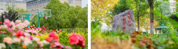 3bf9a229a6d227a5947af06e1c3524db