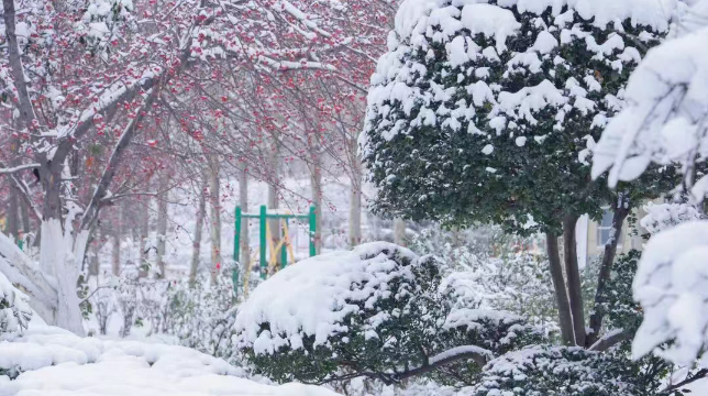 7ea3b53b8629177d30d6b1e7bf2ce07a