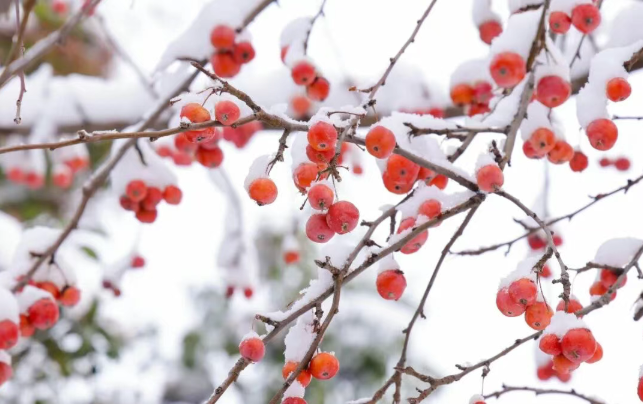 8656720b787b64572fef410629f1e812