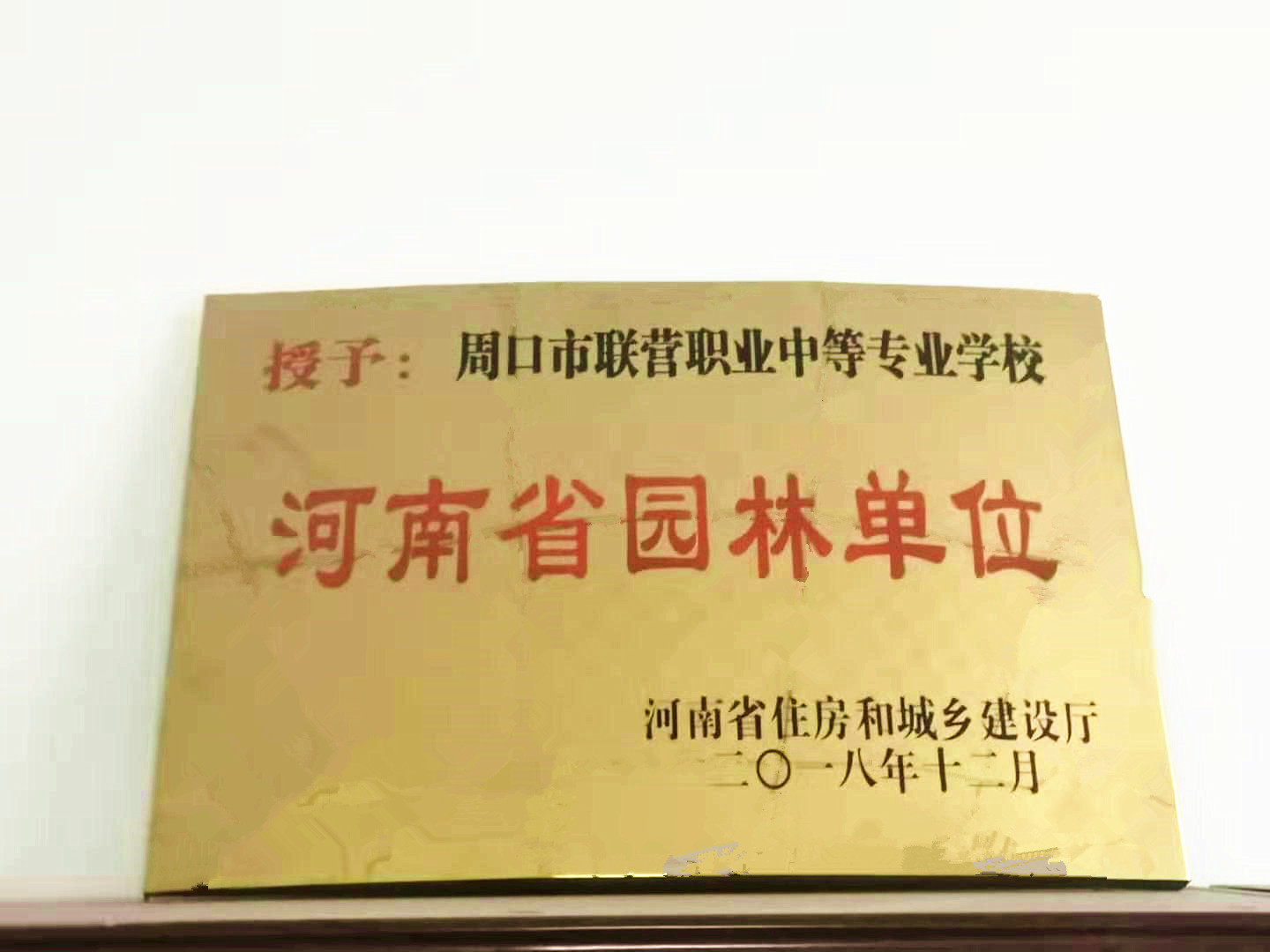 微信图片_20191009090036_副本.jpg